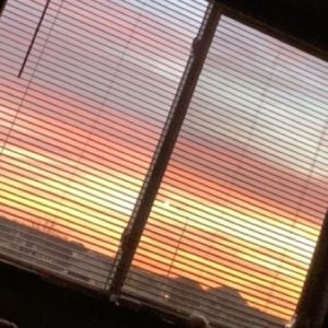 Meet your Posher, Adison